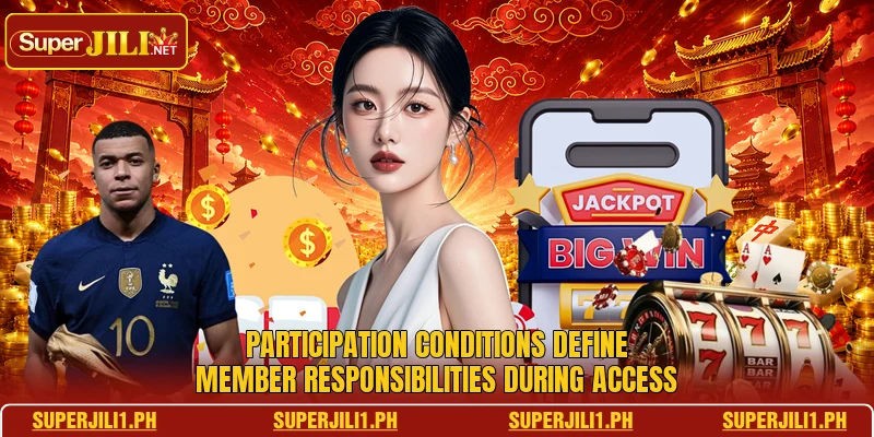 Participation conditions define member responsibilities during access