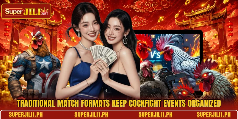 Traditional match formats keep cockfight events organized Traditional match formats keep cockfight events organized